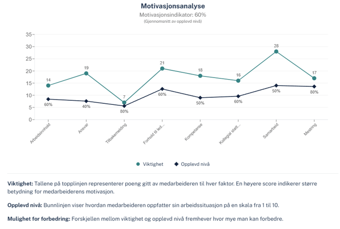 Motivasjonsanalyse - resultat
